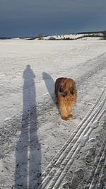 Singleurlaub mit Hund  - Top-Hundeurlaub