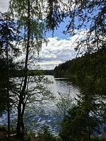 Familienurlaub mit Kindern und Hund - Top-Hundeurlaub