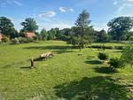 Unser Angebot - Top-Hundeurlaub