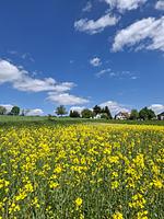 Ostern 2026 - Top-Hundeurlaub