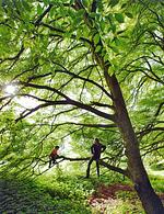 Ostertatzen auf dem Lande  - Top-Hundeurlaub