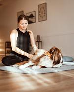 Eine Auszeit mit Hund - perfekt für pawrents - Top-Hundeurlaub