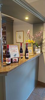 Zwischen Elbe und Reben – Meißen genießen - Top-Hundeurlaub