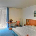 Zwischen Elbe und Reben – Meißen genießen - Top-Hundeurlaub