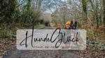 Hundeglück - Top-Hundeurlaub