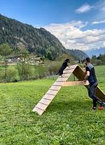 Hundeglück -10 % - Top-Hundeurlaub