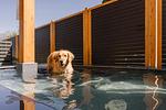 Hundetrainingswoche mit Michaela - Top-Hundeurlaub