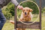 Hundetrainingswoche mit Michaela - Top-Hundeurlaub