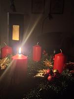 Advent im Waldviertel - Top-Hundeurlaub