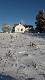 Advent im Waldviertel - Top-Hundeurlaub