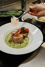 Traumurlaub mit Ihrem Vierbeiner - Top-Hundeurlaub