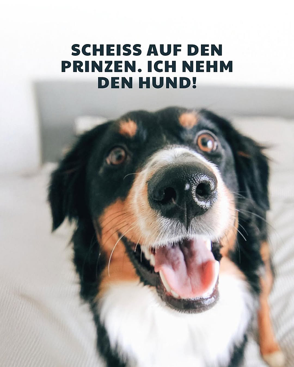 Der Prinz kann warten - mein Herz gehört meinem Hund!