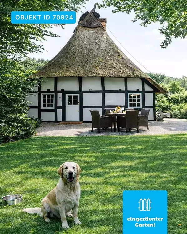 Fachwerkhaus am Dümmer See – Urlaub mit Hund wie im Bilderbuch