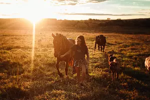 Reiten mit Hund
