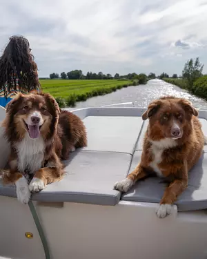 Flussreise mit Hund