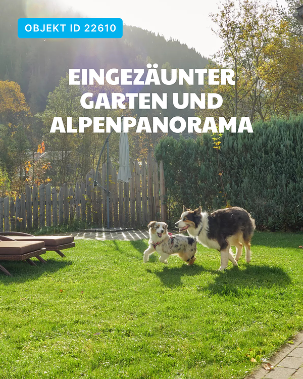 Hundeurlaub in den Alpen – entdecke die Viktoria Lodges!