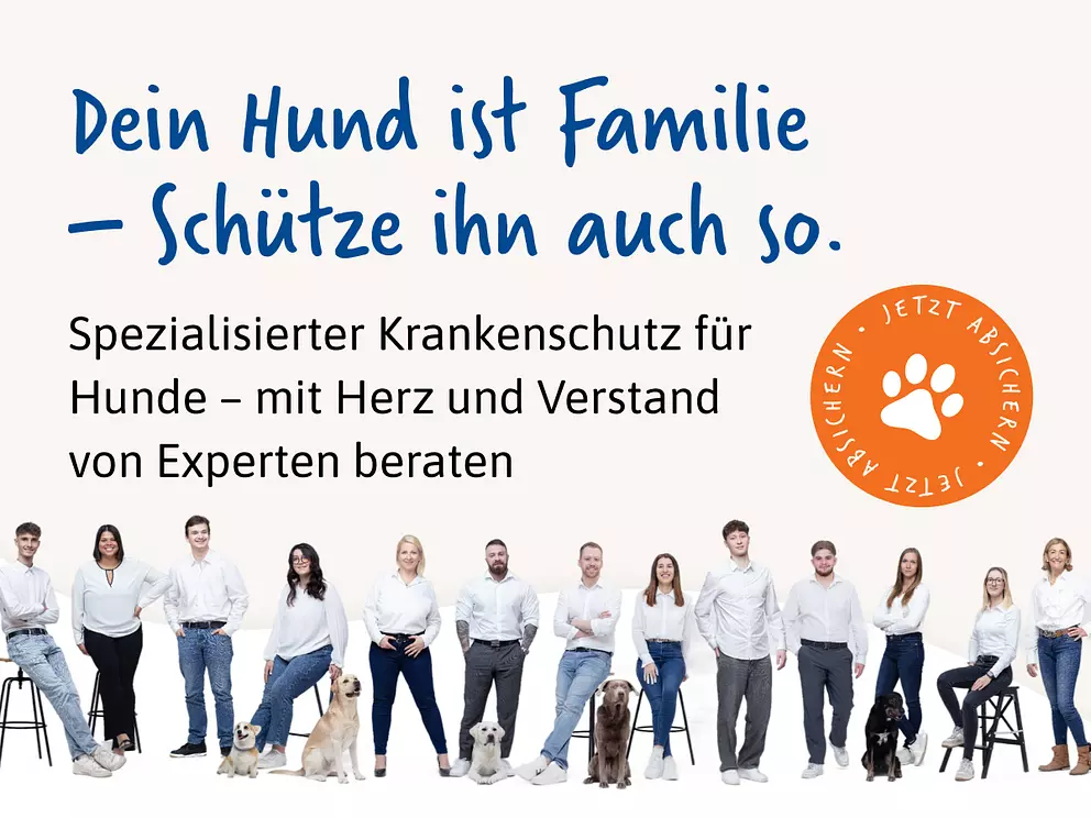 Werbeanzeige /api/ads/36/go