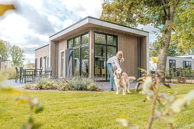 Niederlande mit Hund