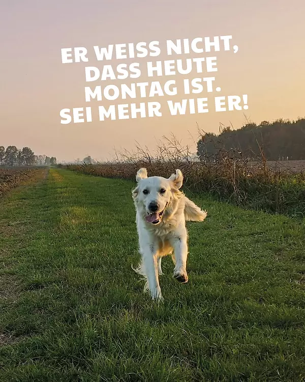 Unsere Empfehlung: viel Wiese, wenig Termine. 