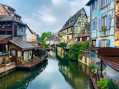 Frankreich mit Hund