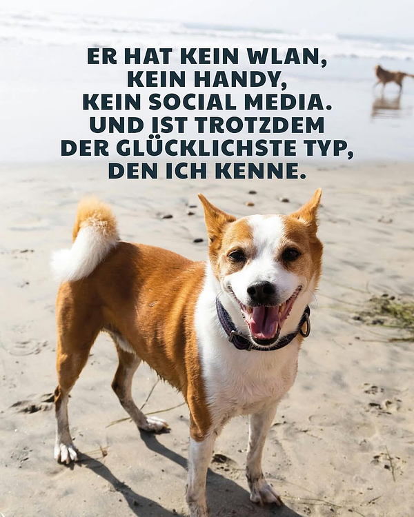 Wer ist dein Lieblings-Hundemensch?