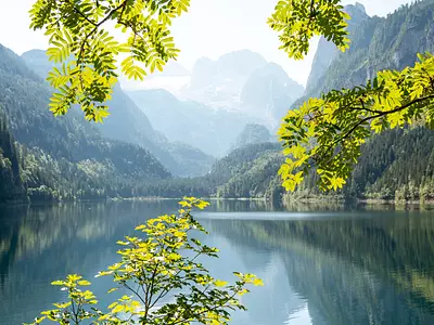 Österreich mit Hund