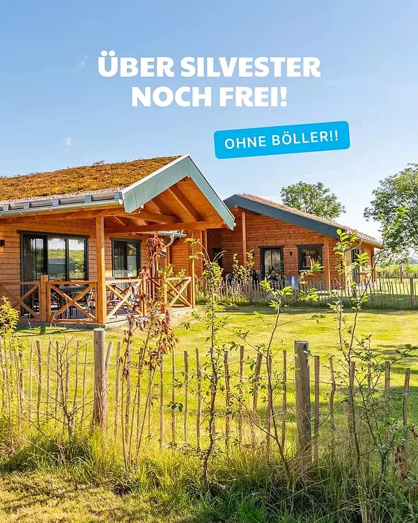Kein Knallen, kein Zittern – nur Ruhe für dich und deine Fellnase: