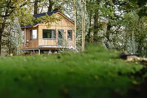 Baumhaus mit Hund