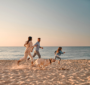 Familienurlaub mit Hund