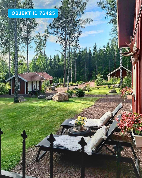 Schwedenurlaub mit bis zu 10 Hunden